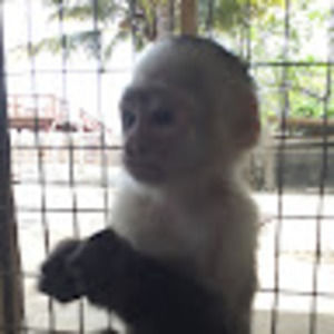 Meet your Posher, Ben